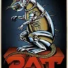 Plan-B Ratt Duffy Skateboard Deck -Enuff Shop plan b ratt duffy skateboard deck iq