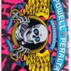 Powell Peralta Birch Skateboard Deck 2 Powell Peralta Birch Skateboard Deck -Enuff Shop powell peralta birch skateboard deck gl