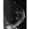 PRIMITIVE Silvas Moon Skateboard Deck -Enuff Shop primitive silvas moon skateboard deck jf