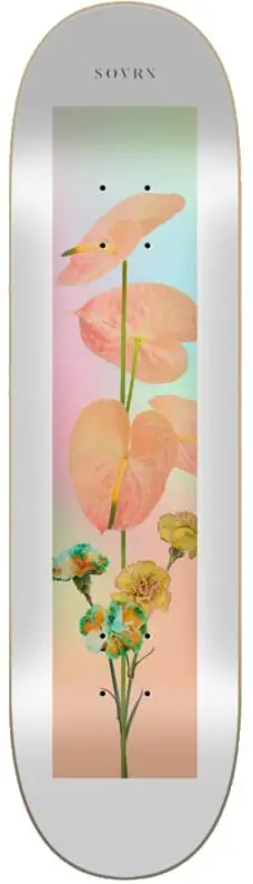 Playground Skateboard Deck